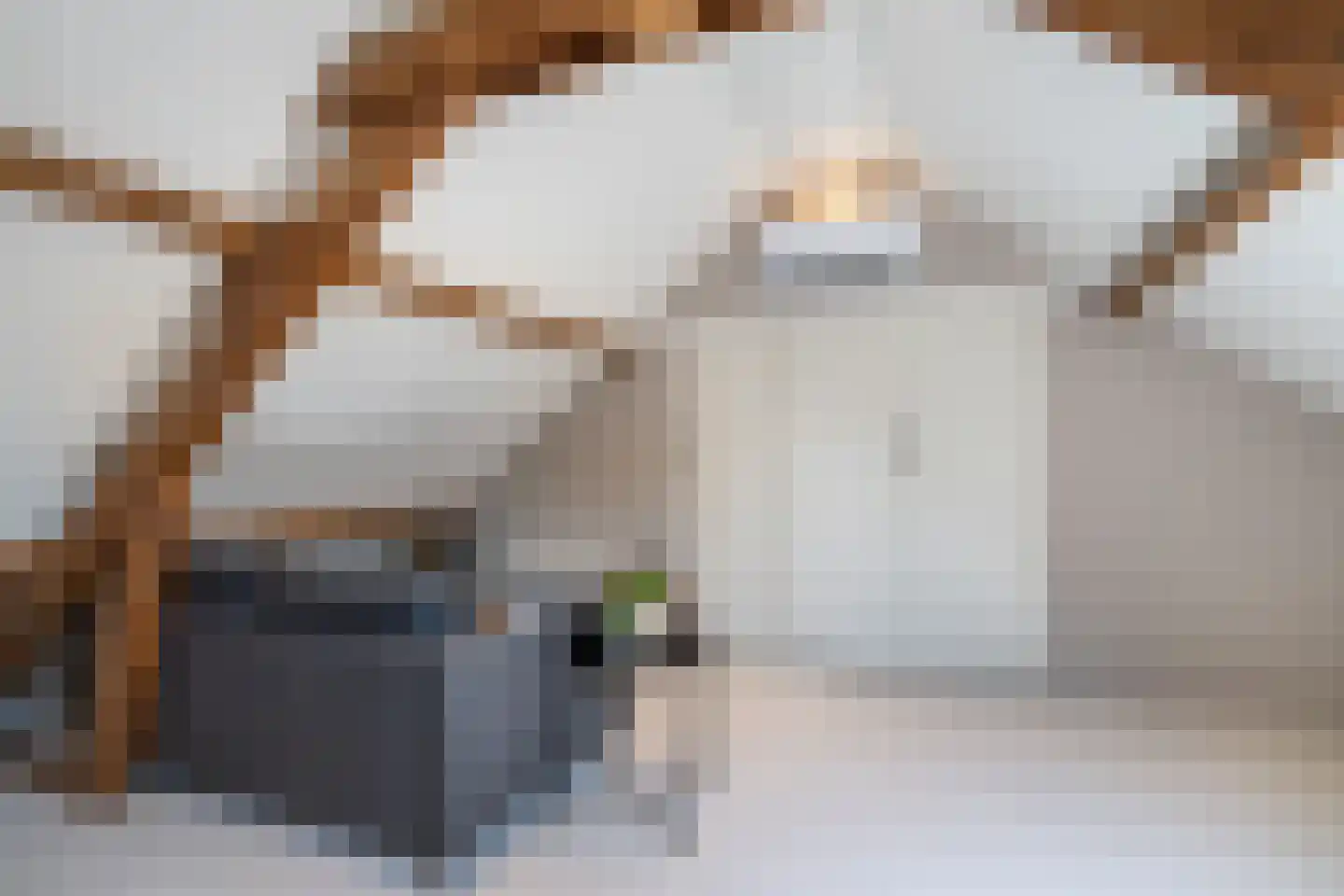 Plantsoenstraat 2 Linne thumbnail 21