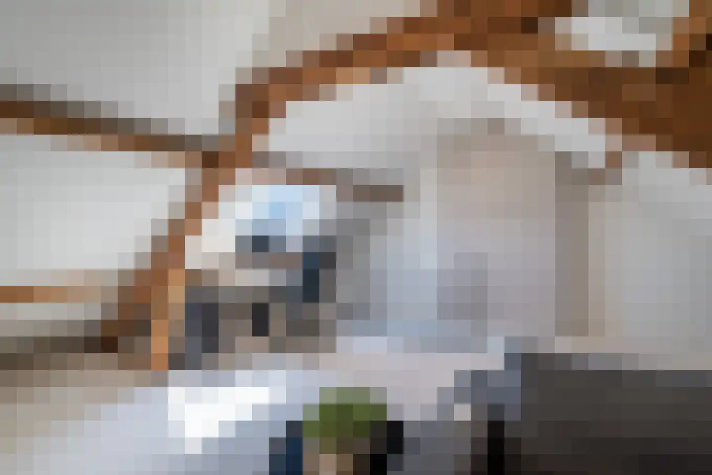 Plantsoenstraat 2 Linne thumbnail 22
