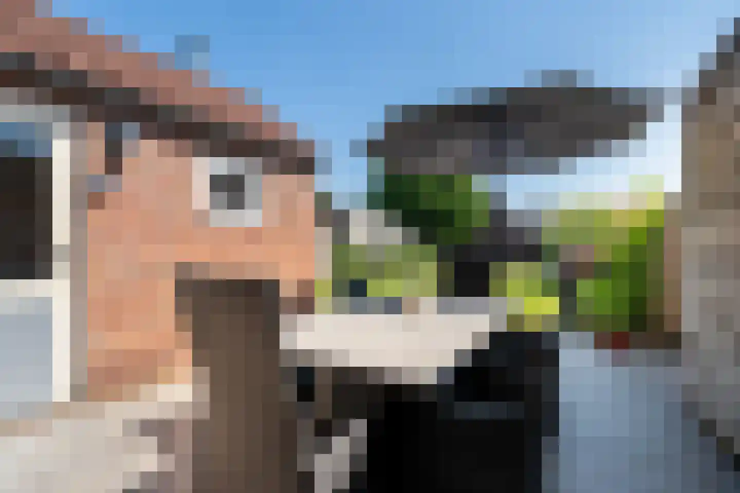 Plantsoenstraat 2 Linne thumbnail 23