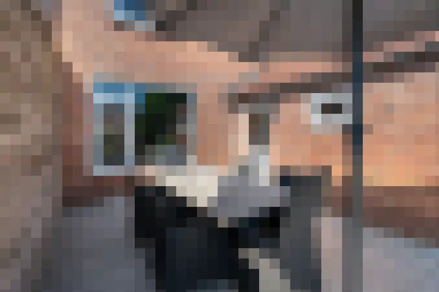 Plantsoenstraat 2 Linne thumbnail 25