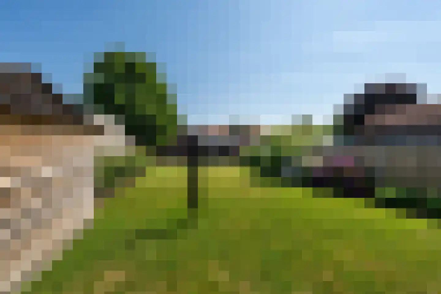 Plantsoenstraat 2 Linne thumbnail 26