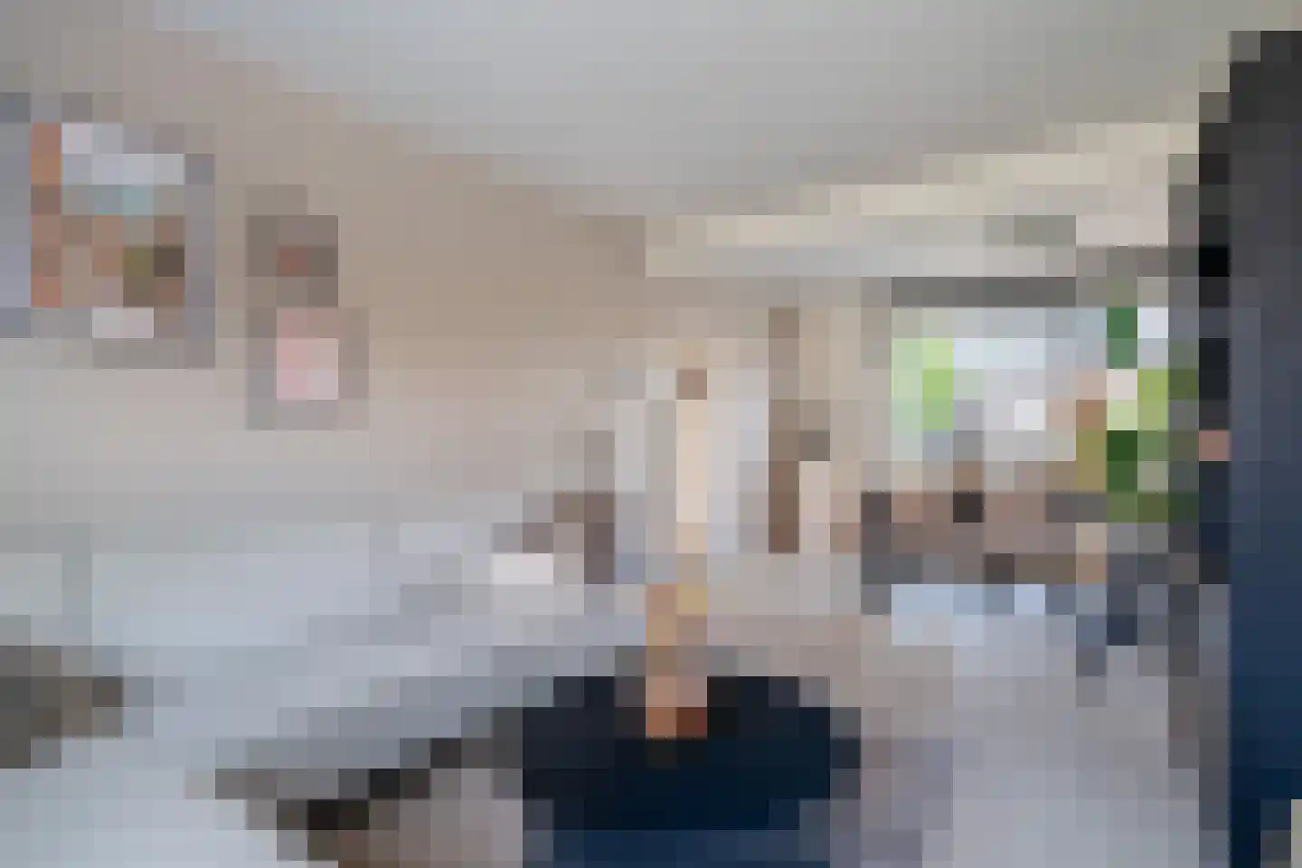 Plantsoenstraat 2 Linne thumbnail 5