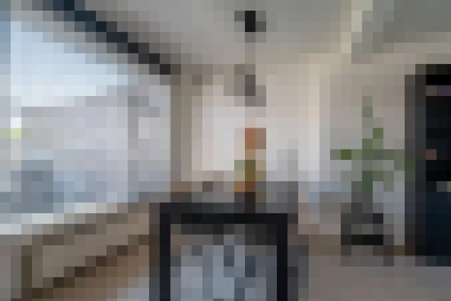 Plantsoenstraat 2 Linne thumbnail 7