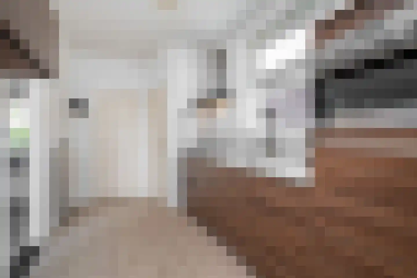 Plantsoenstraat 2 Linne thumbnail 9
