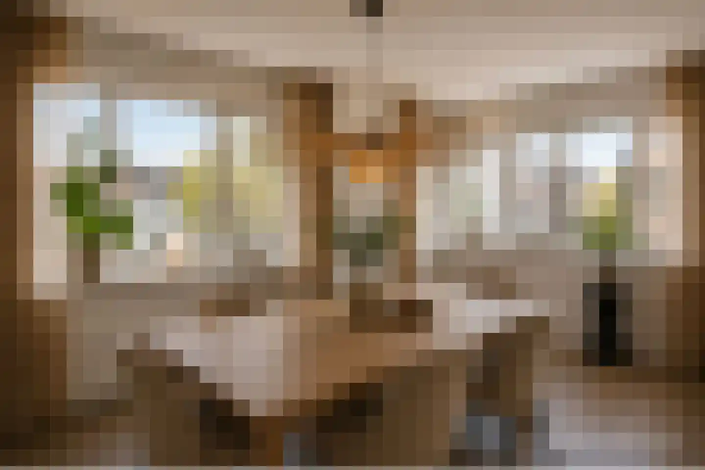 Plantsoenstraat 21 Doetinchem thumbnail 22