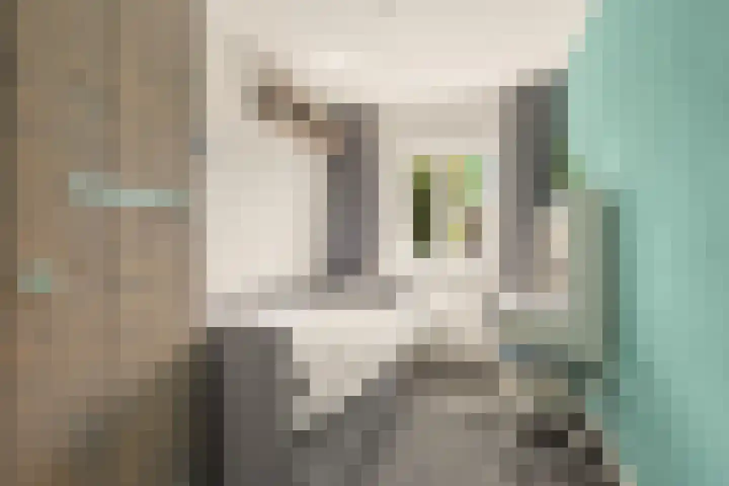 Plantsoenstraat 24 Egmond aan Zee thumbnail 15