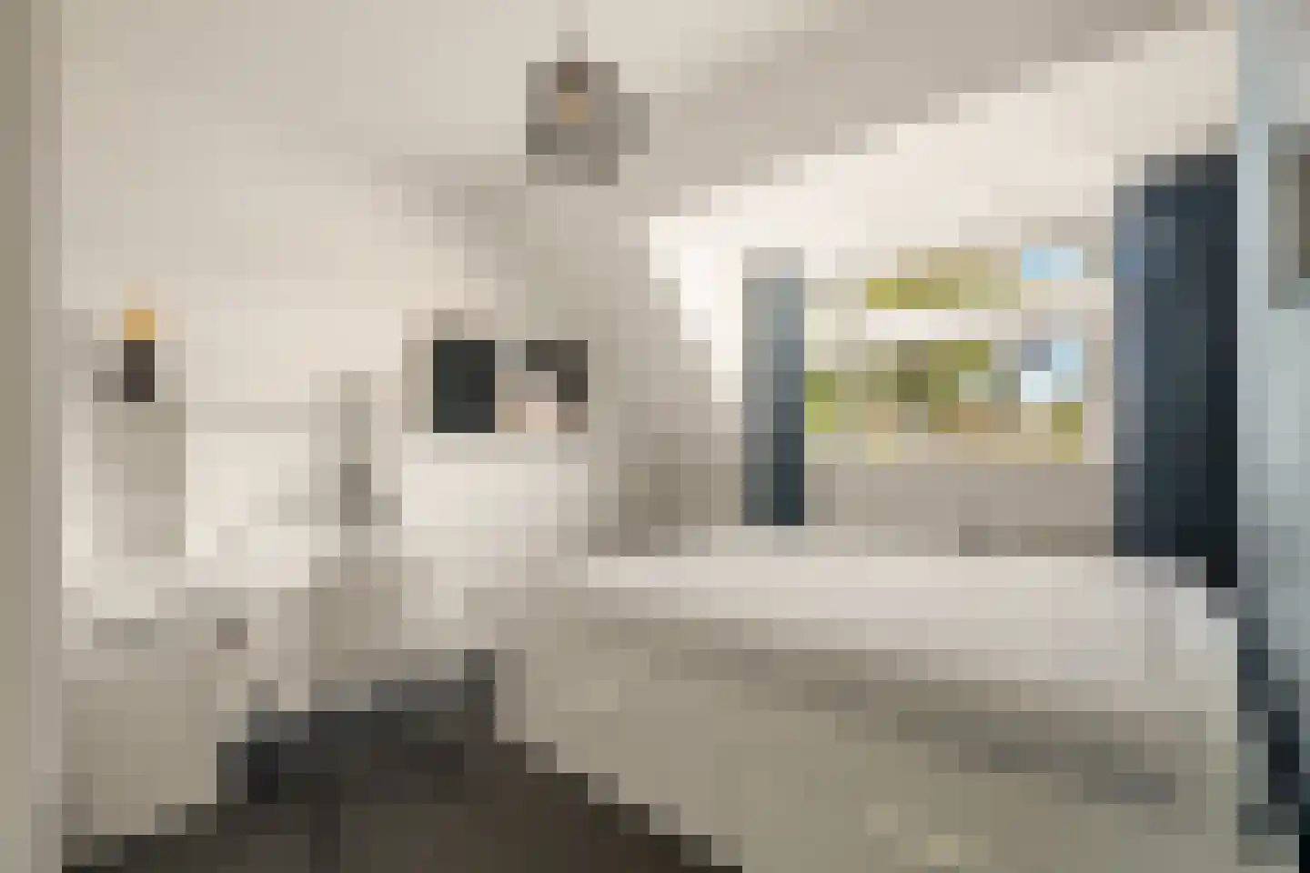 Plantsoenstraat 24 Egmond aan Zee thumbnail 17