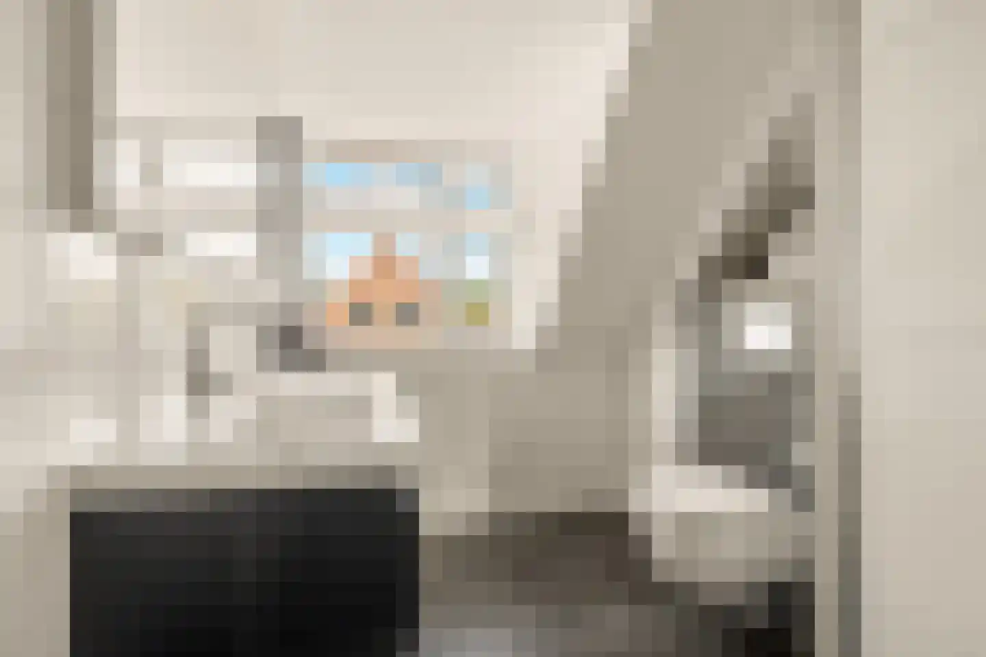Plantsoenstraat 24 Egmond aan Zee thumbnail 21