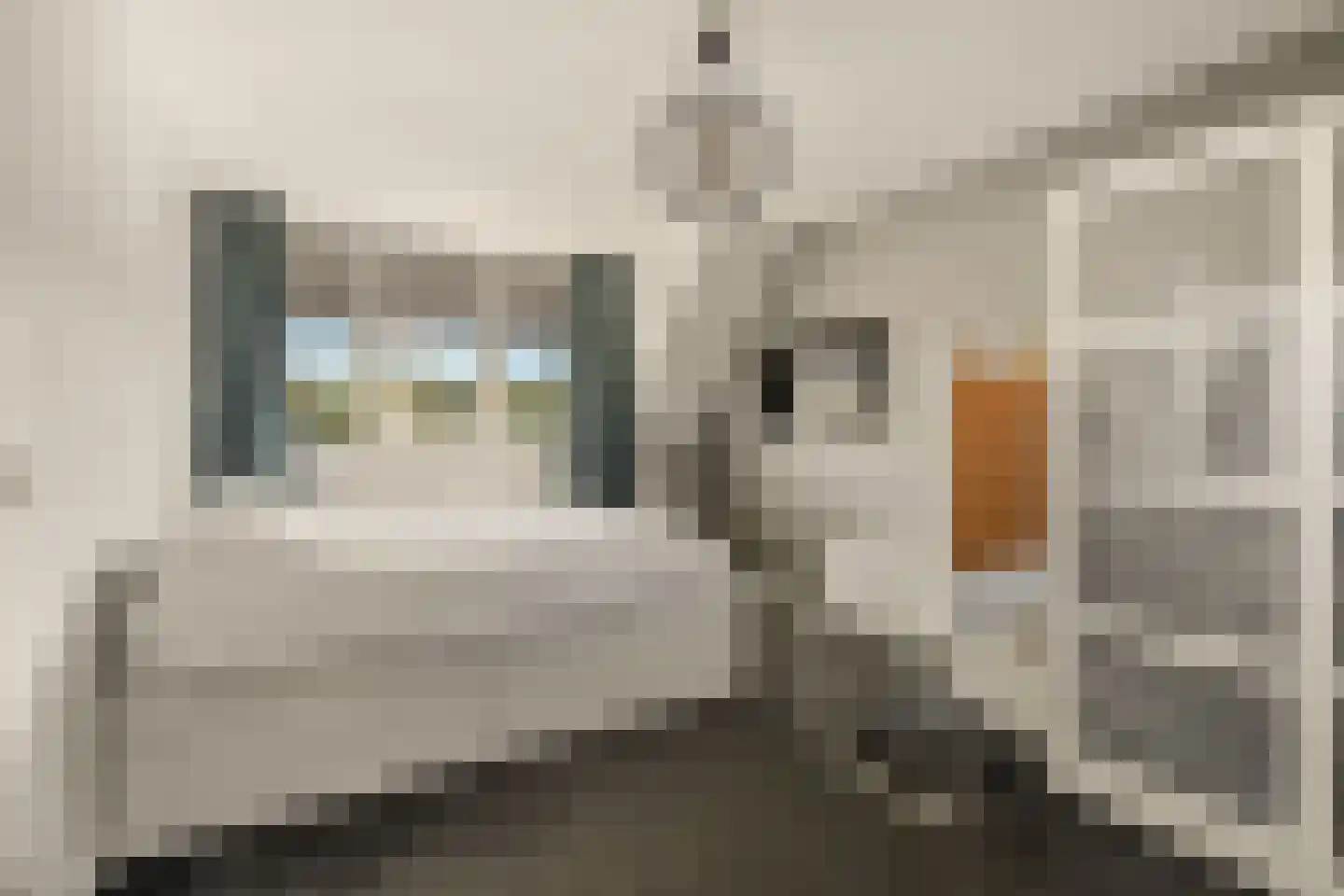 Plantsoenstraat 24 Egmond aan Zee thumbnail 25
