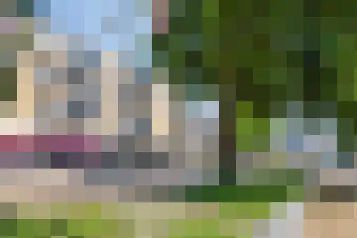Plantsoenstraat 27 Doetinchem thumbnail 24