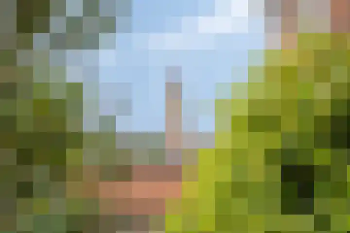 Plantsoenstraat 27 Rhenen thumbnail 4