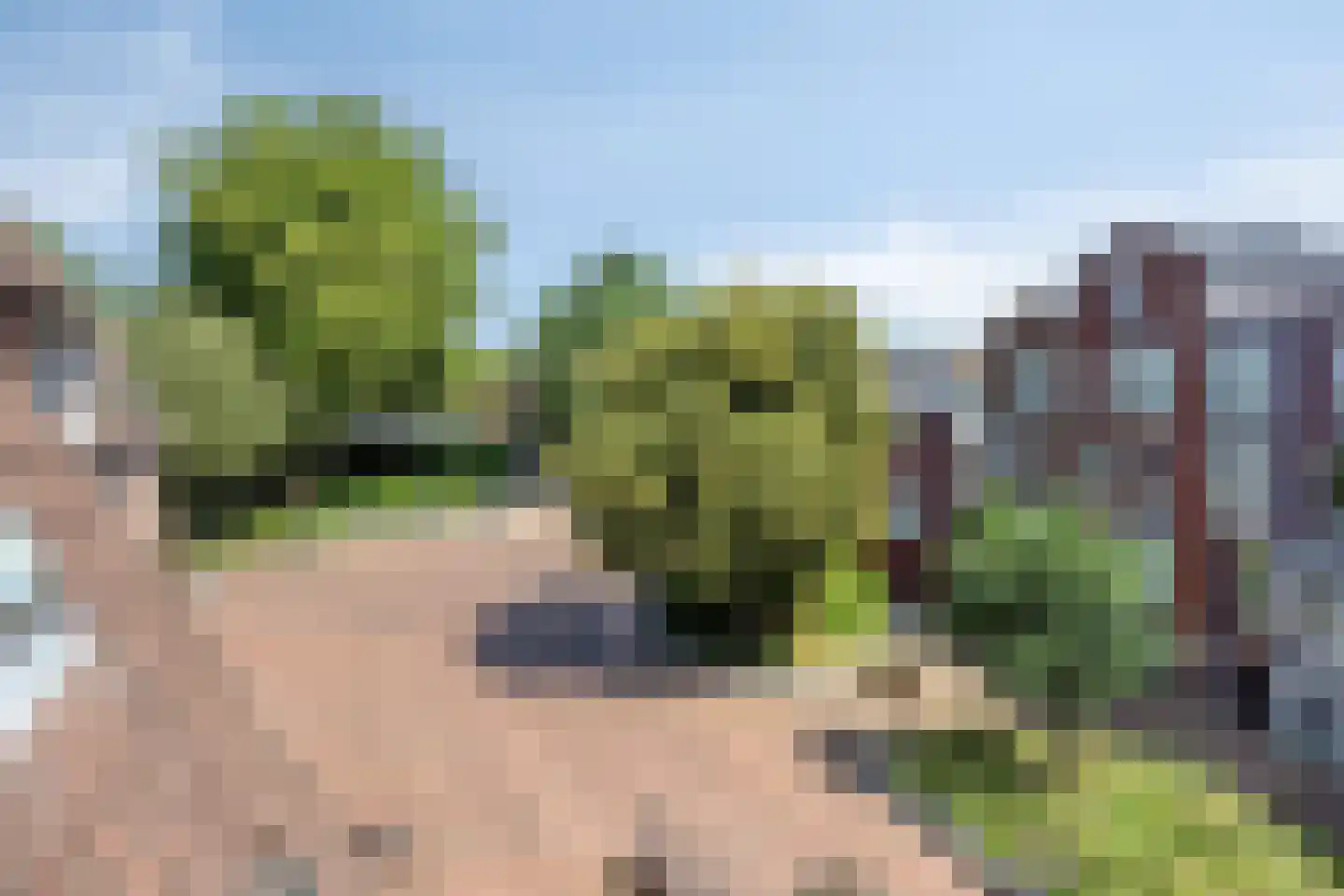 Plantsoenstraat 31 Rhenen thumbnail 23