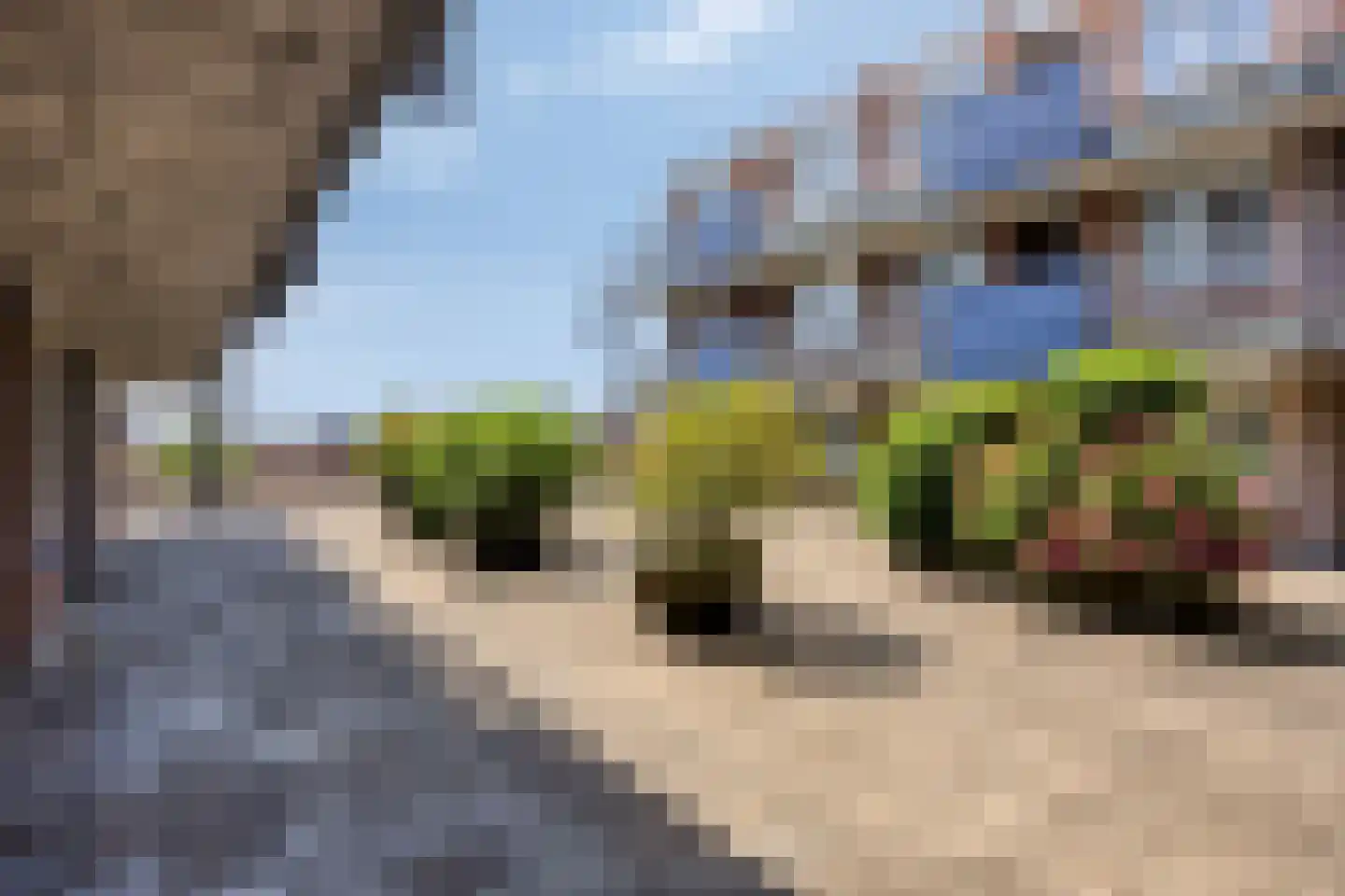 Plantsoenstraat 31 Rhenen thumbnail 30