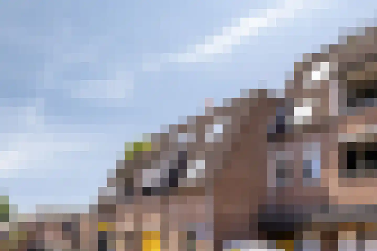 Plantsoenstraat 31 Rhenen thumbnail 36