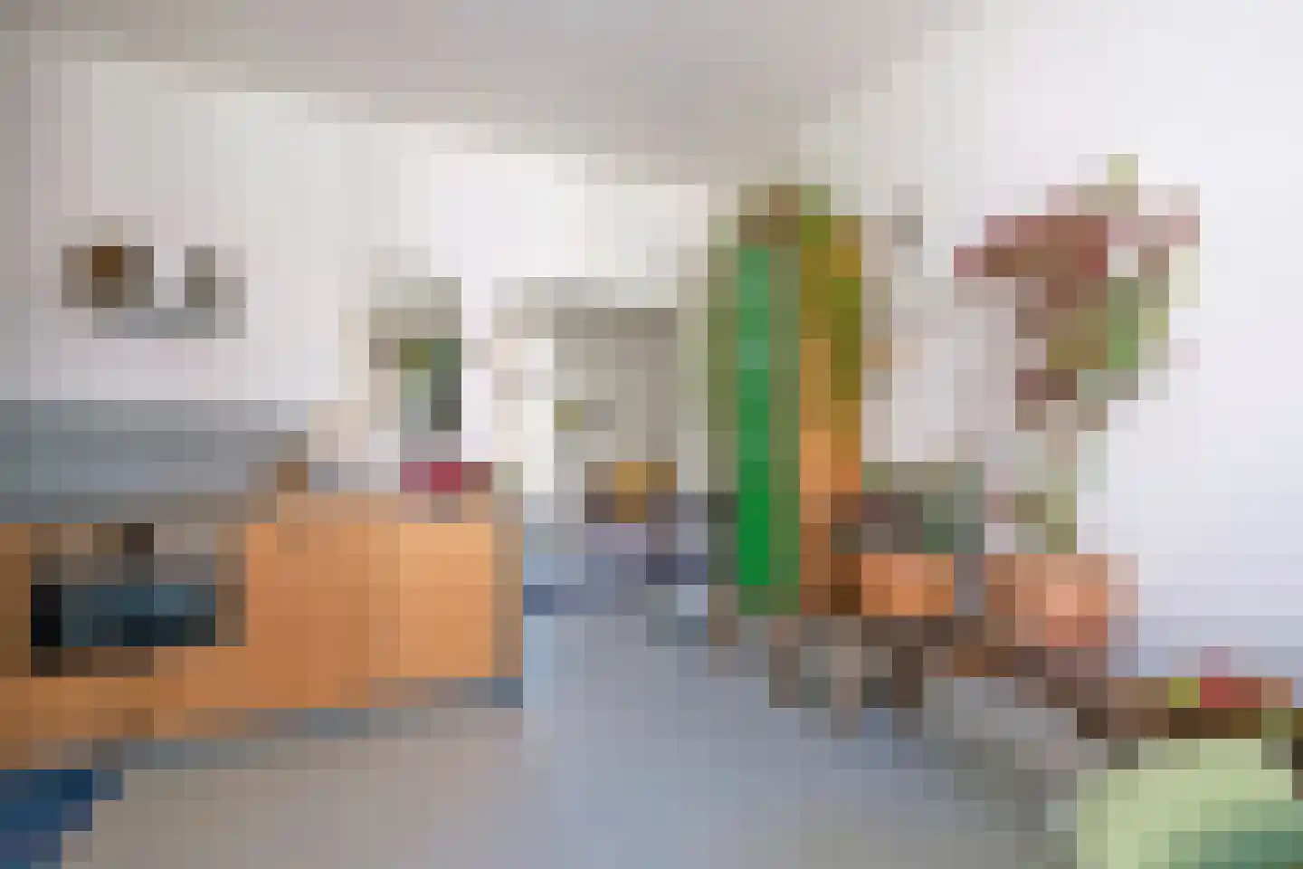 Plantsoenstraat 35 Groningen thumbnail 12