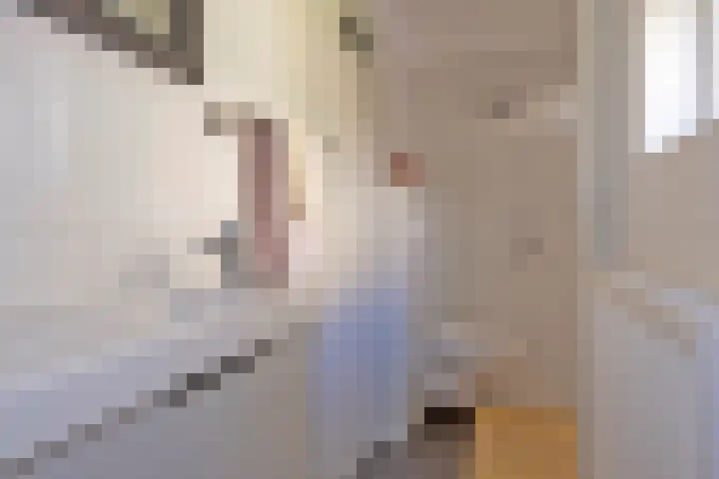 Plantsoenstraat 35 Groningen thumbnail 24