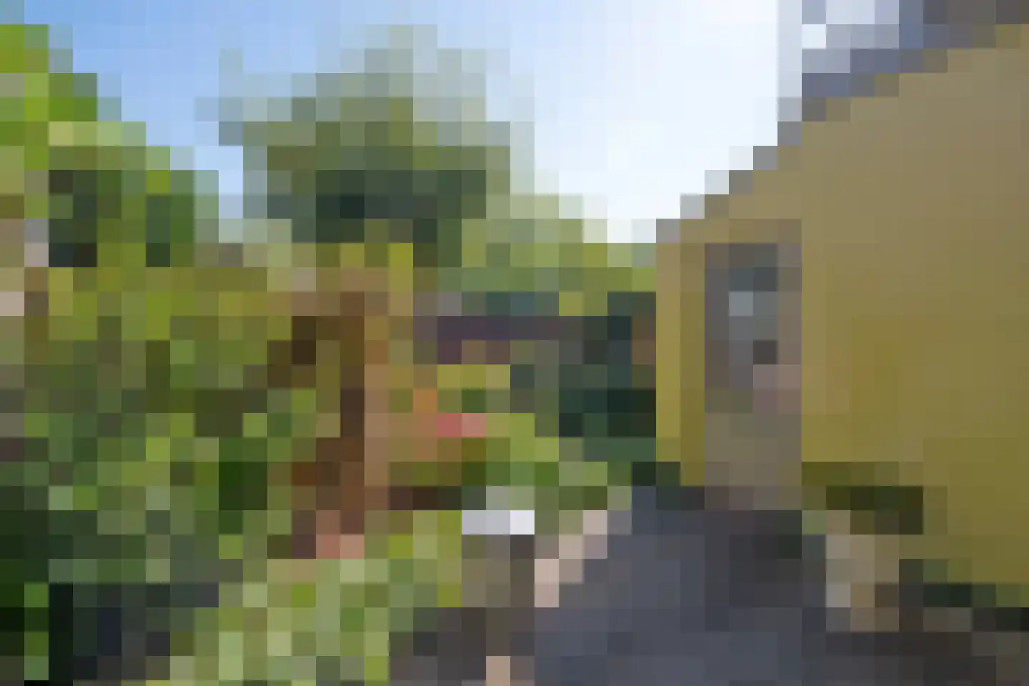 Plantsoenstraat 35 Groningen thumbnail 25