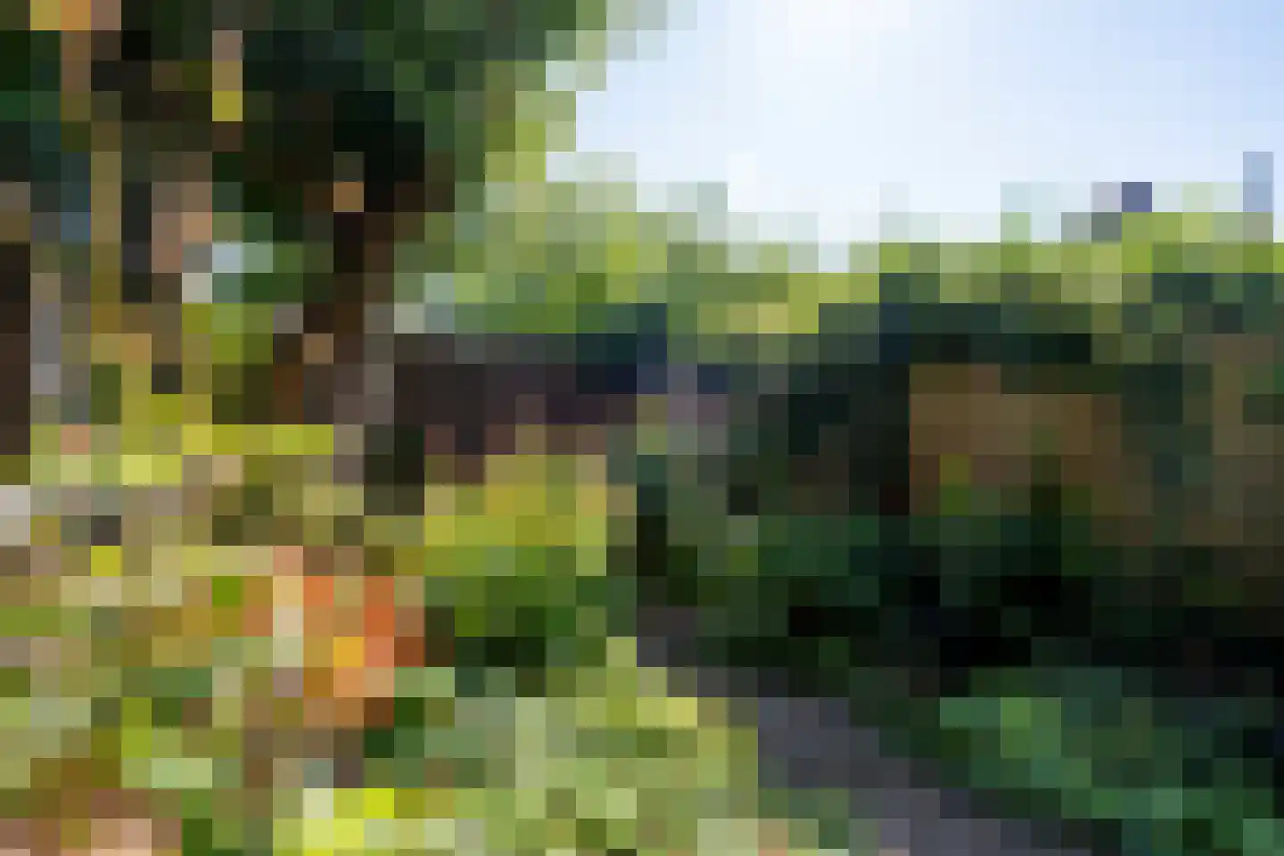 Plantsoenstraat 35 Groningen thumbnail 26