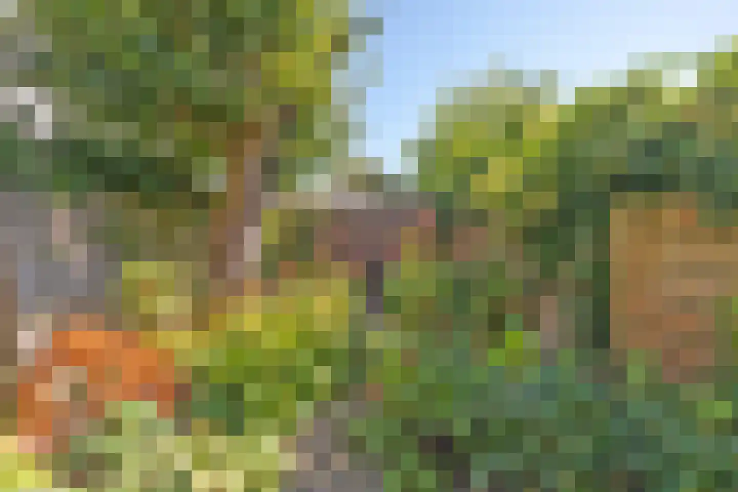 Plantsoenstraat 35 Groningen thumbnail 30