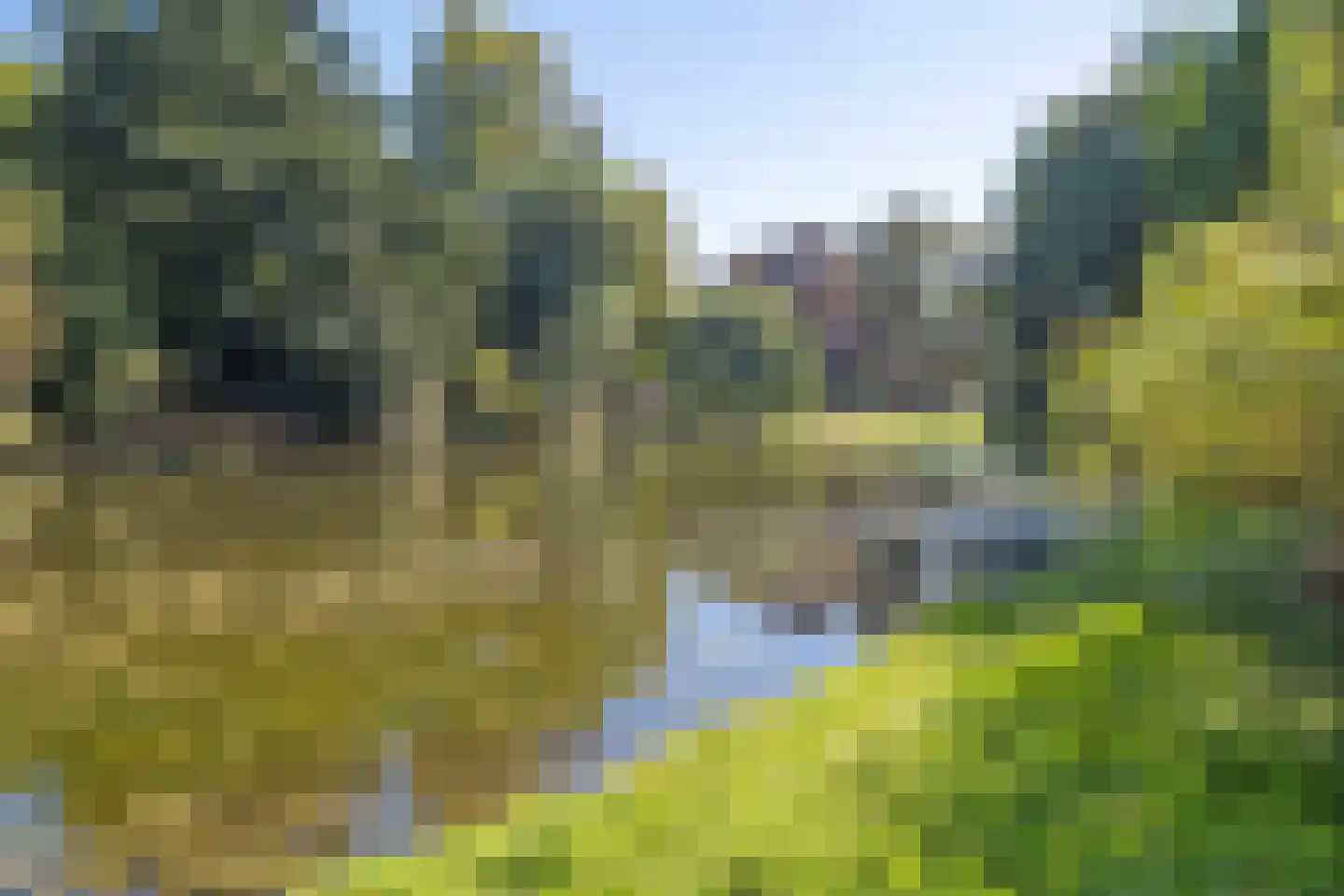 Plantsoenstraat 35 Groningen thumbnail 37