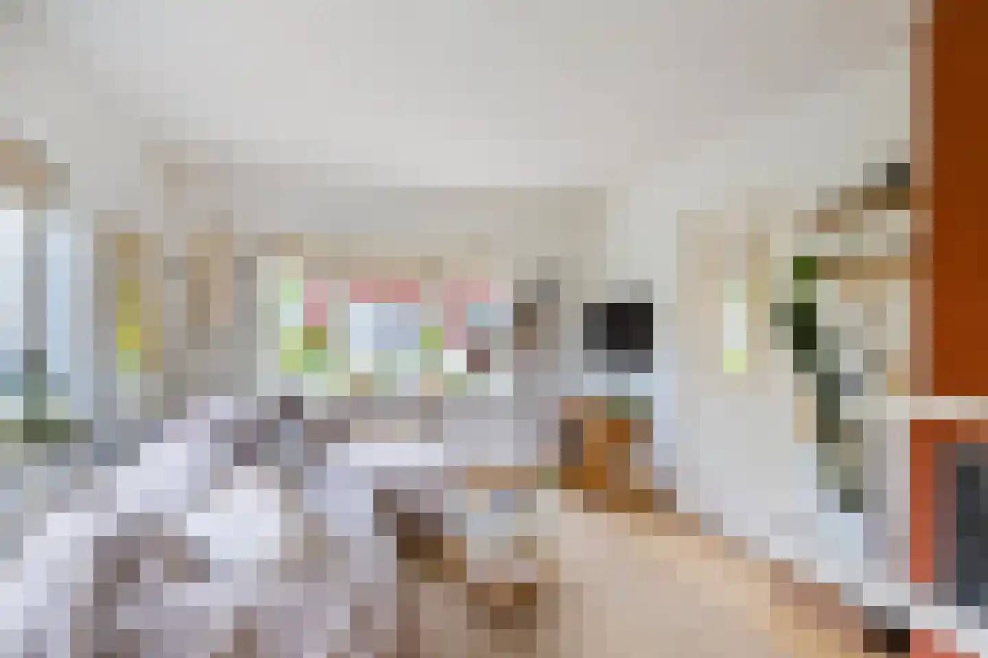 Plantsoenstraat 4 Gasselternijveen thumbnail 14