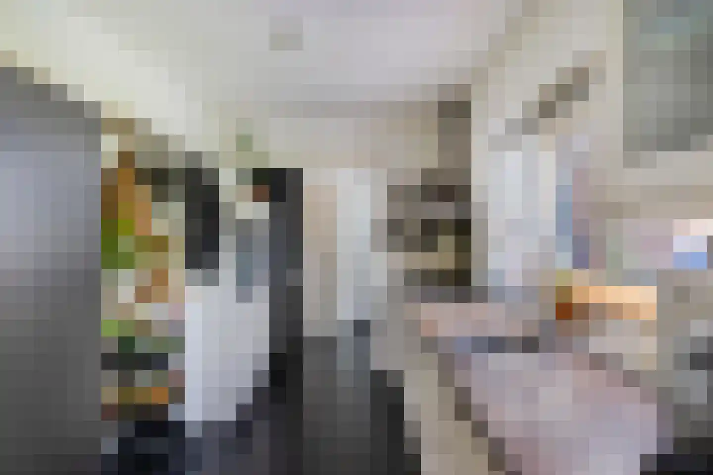 Plantsoenstraat 4 Gasselternijveen thumbnail 18