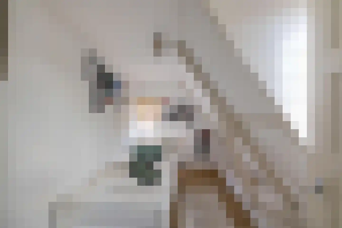 Plantsoenstraat 4 Gasselternijveen thumbnail 38