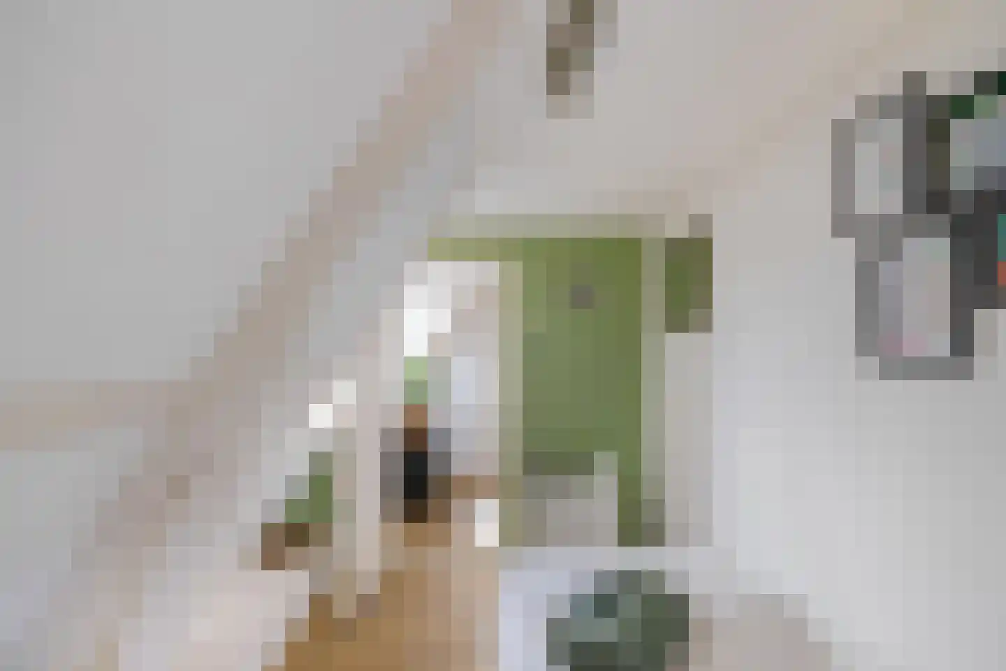 Plantsoenstraat 4 Gasselternijveen thumbnail 39