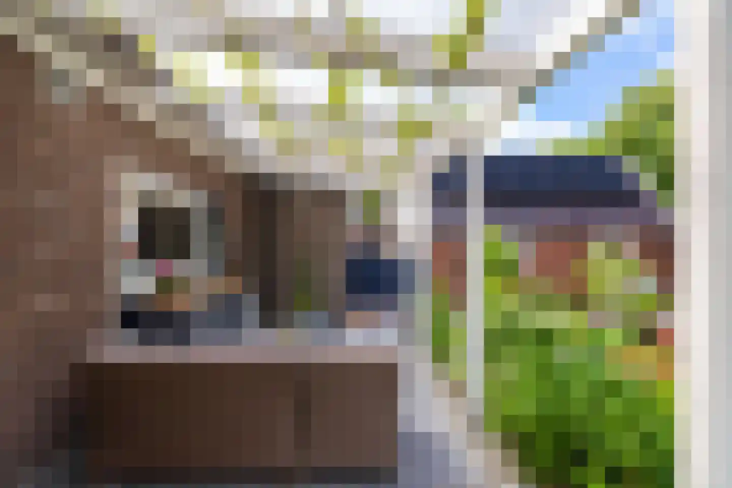 Plantsoenstraat 4 Gasselternijveen thumbnail 41