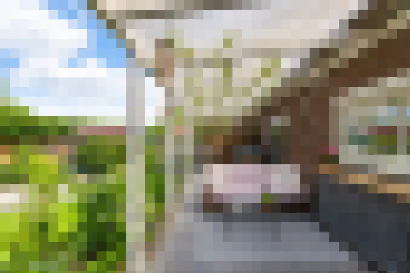 Plantsoenstraat 4 Gasselternijveen thumbnail 42