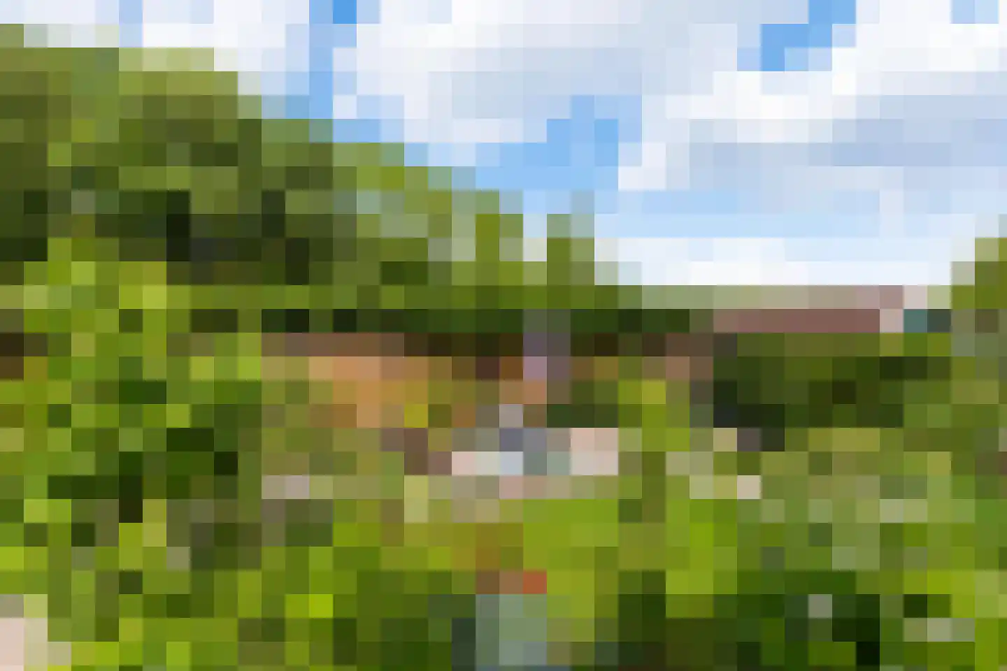Plantsoenstraat 4 Gasselternijveen thumbnail 44