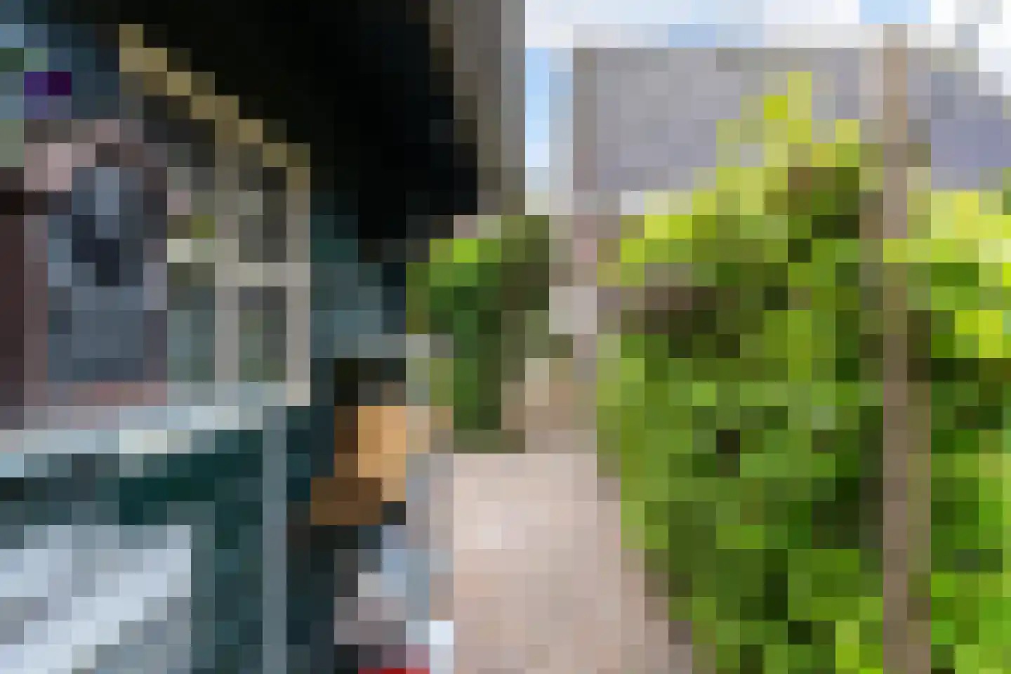 Plantsoenstraat 4 Gasselternijveen thumbnail 46