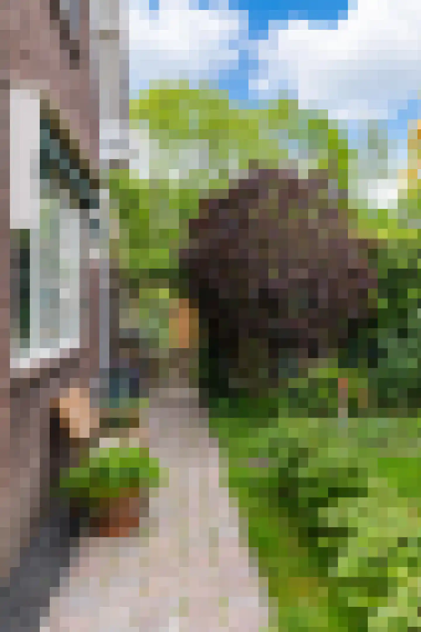 Plantsoenstraat 4 Gasselternijveen thumbnail 47
