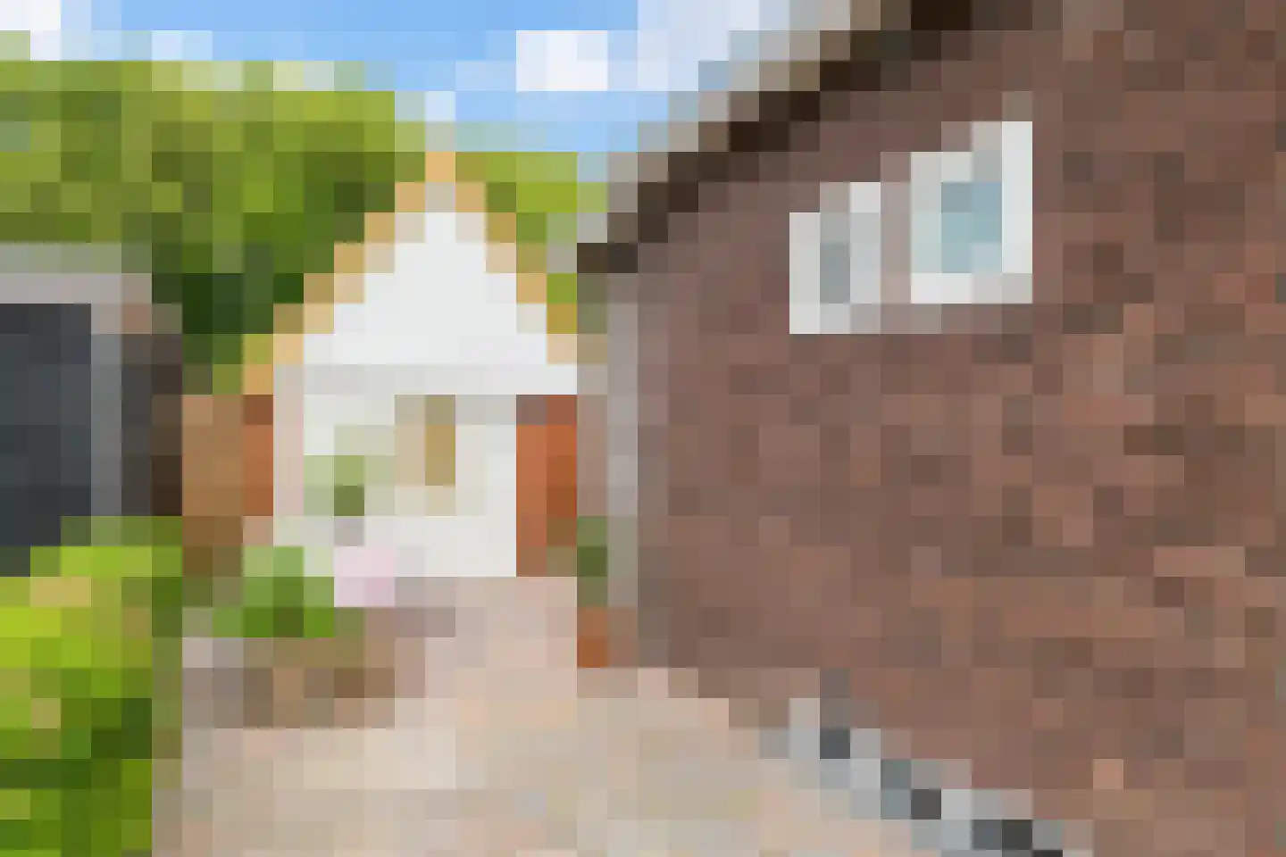 Plantsoenstraat 4 Gasselternijveen thumbnail 51