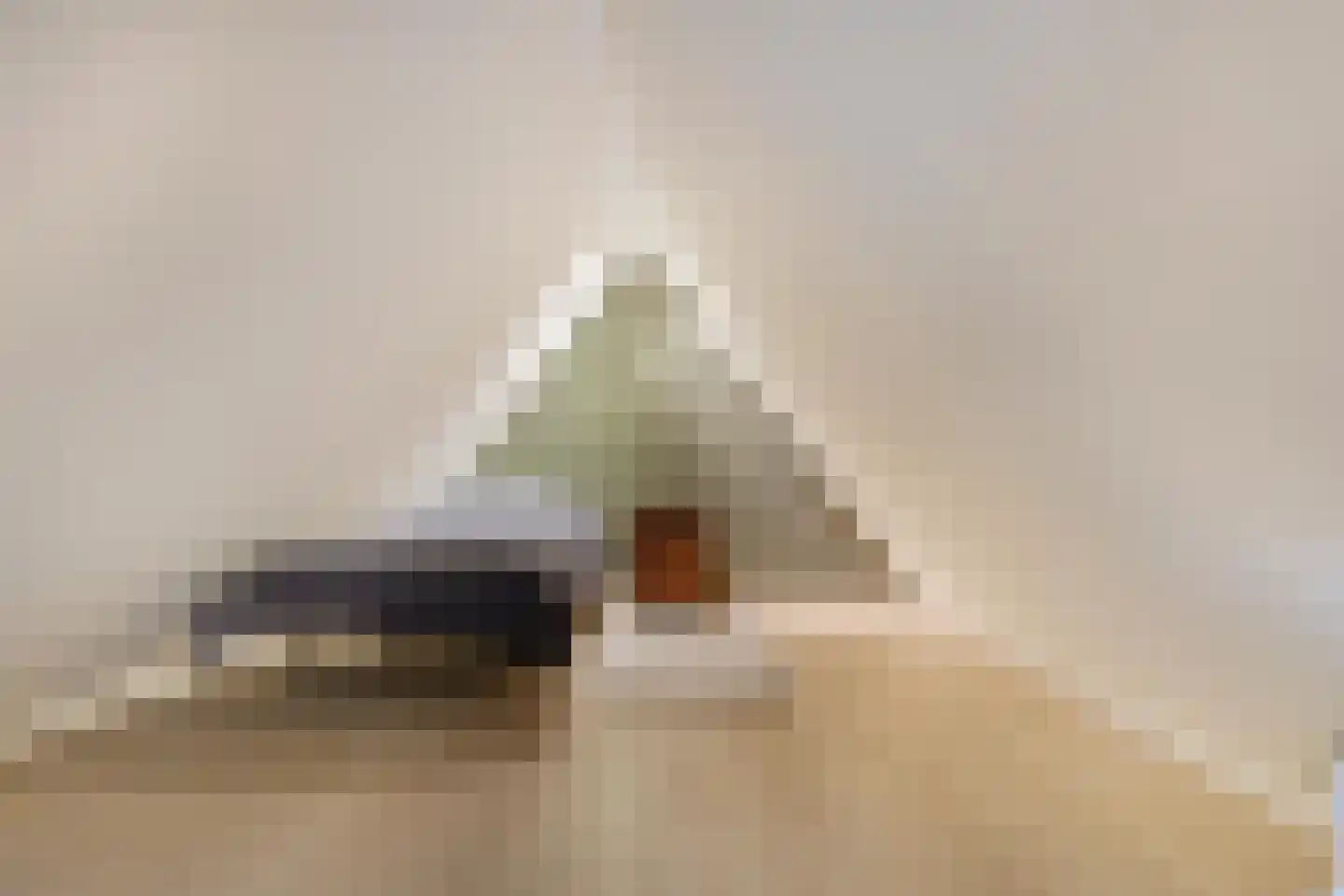 Plantsoenstraat 4 Gasselternijveen thumbnail 58