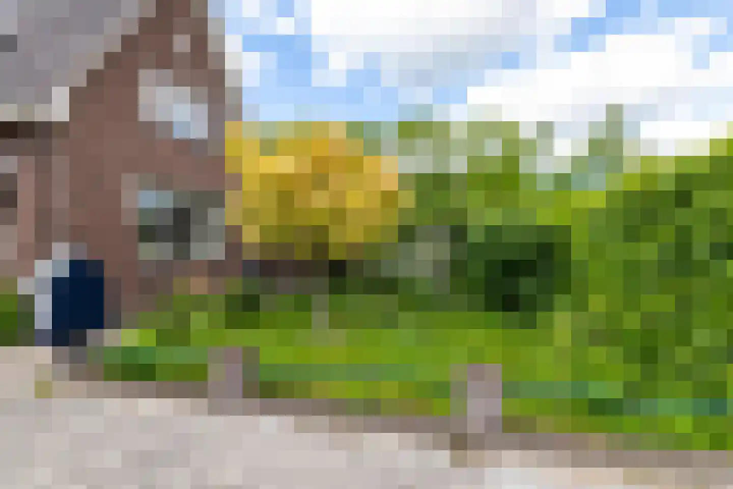 Plantsoenstraat 4 Gasselternijveen thumbnail 62