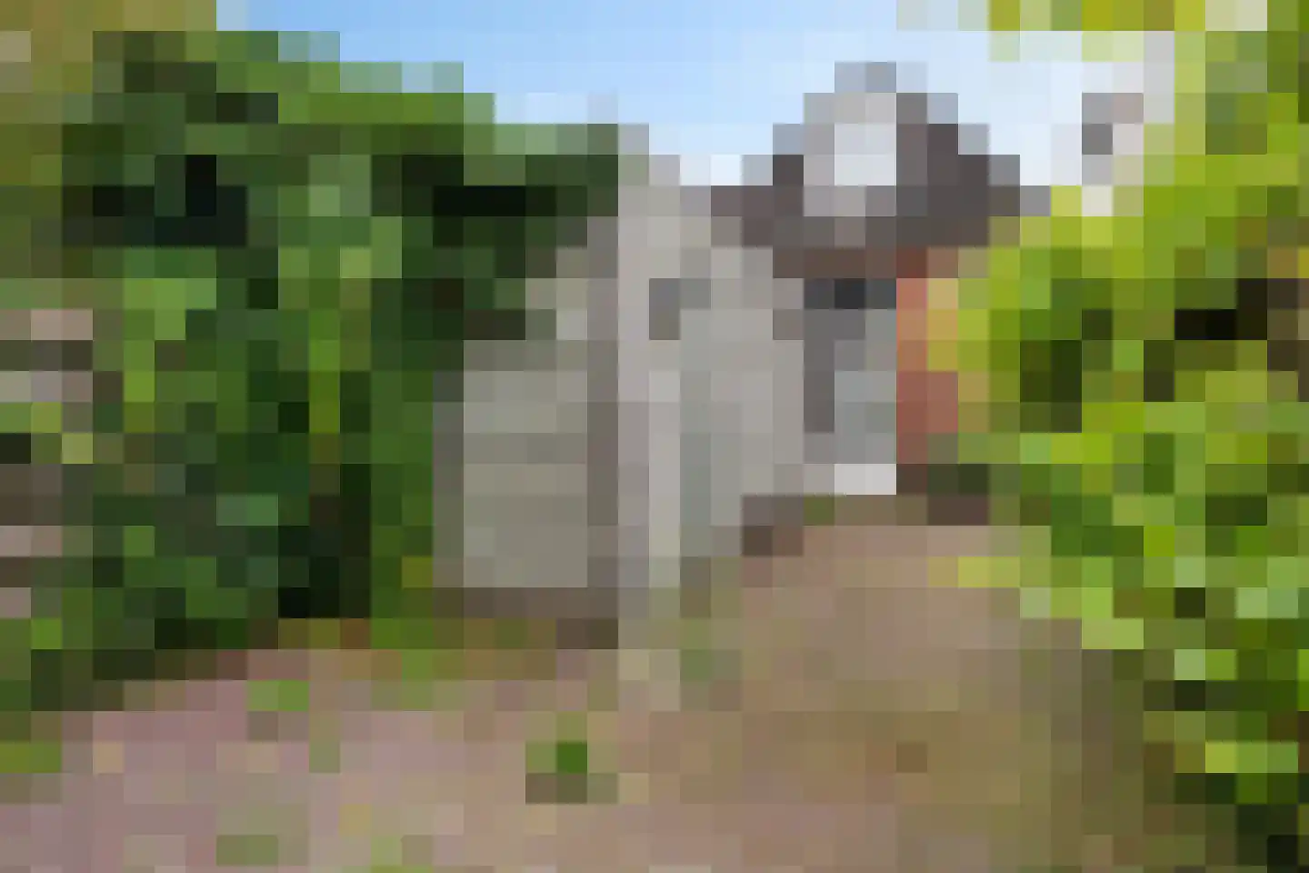 Plantsoenstraat 42 Groningen thumbnail 30