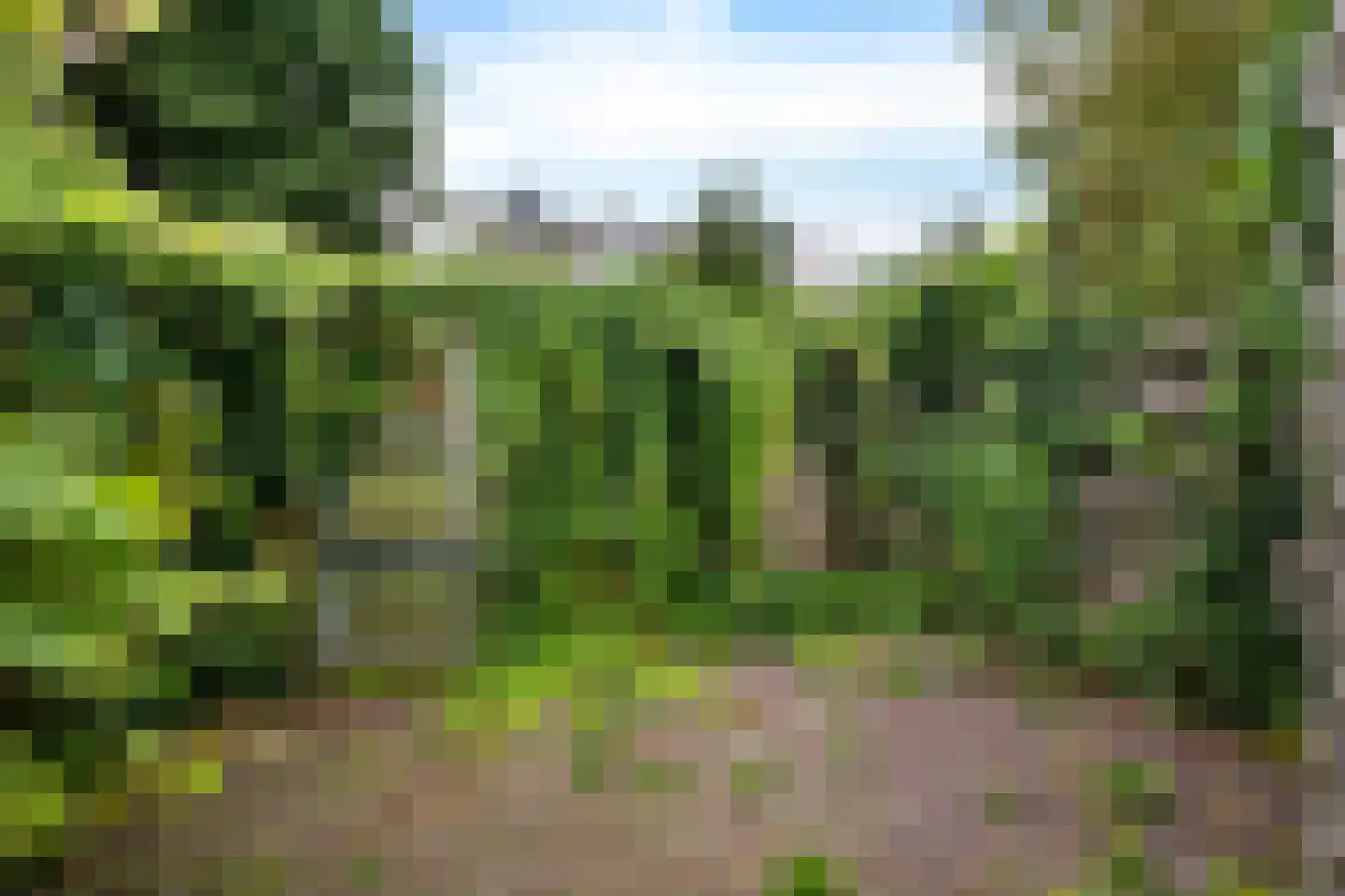 Plantsoenstraat 42 Groningen thumbnail 32