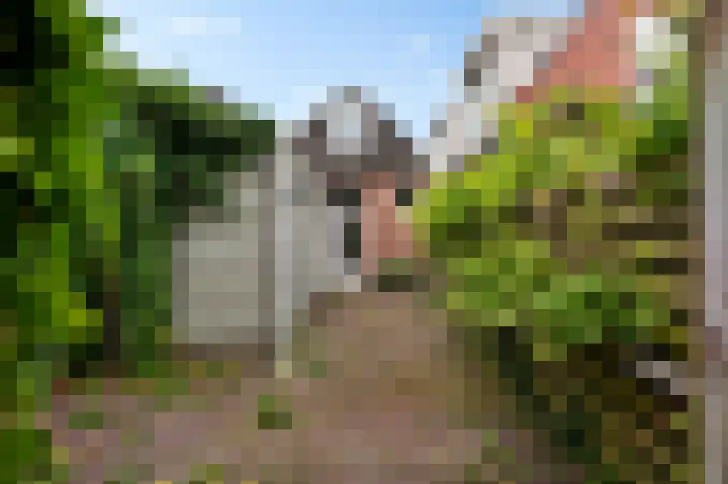 Plantsoenstraat 42 Groningen thumbnail 33