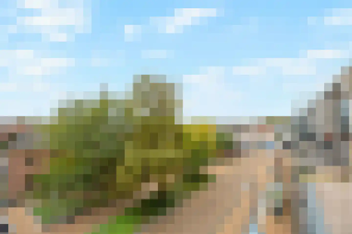 Plantsoenstraat 45 Doetinchem thumbnail 24