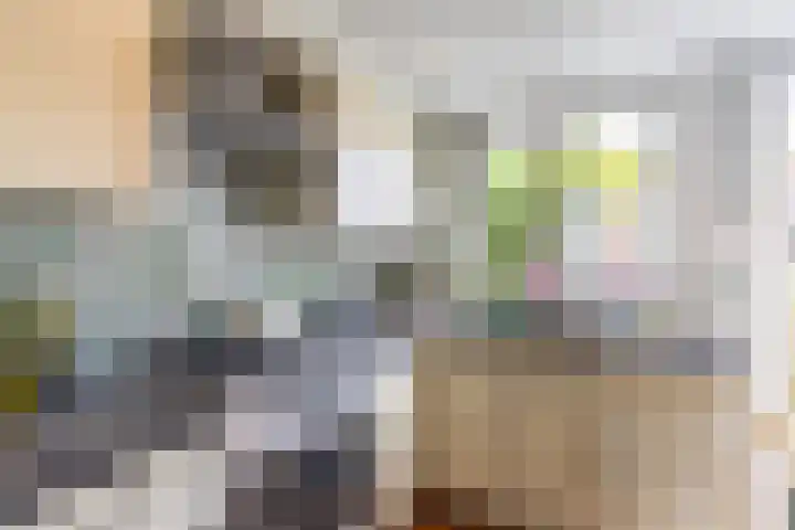 Plantsoenstraat 5 Groningen thumbnail 19