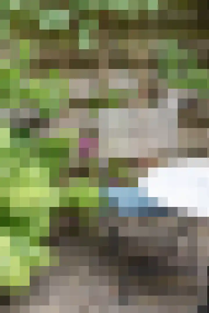 Plantsoenstraat 5 Groningen thumbnail 21