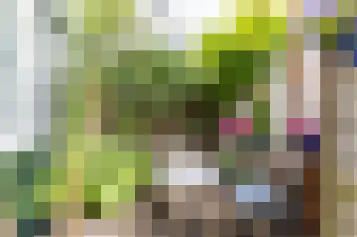 Plantsoenstraat 5 Groningen thumbnail 23