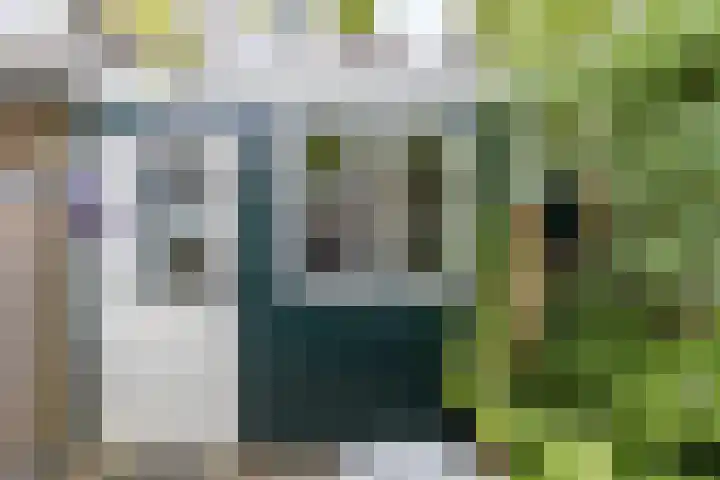 Plantsoenstraat 5 Groningen thumbnail 24