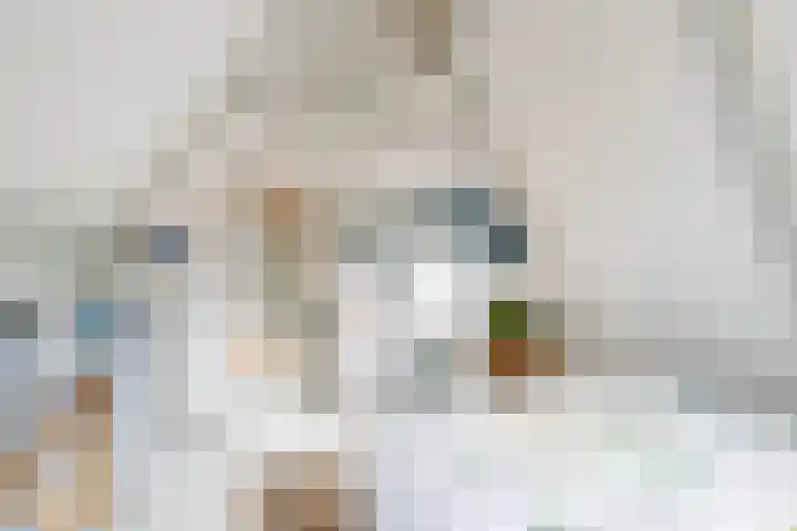 Plantsoenstraat 5 Groningen thumbnail 33