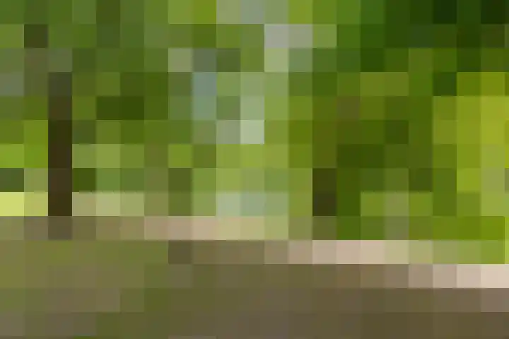 Plantsoenstraat 5 Groningen thumbnail 43
