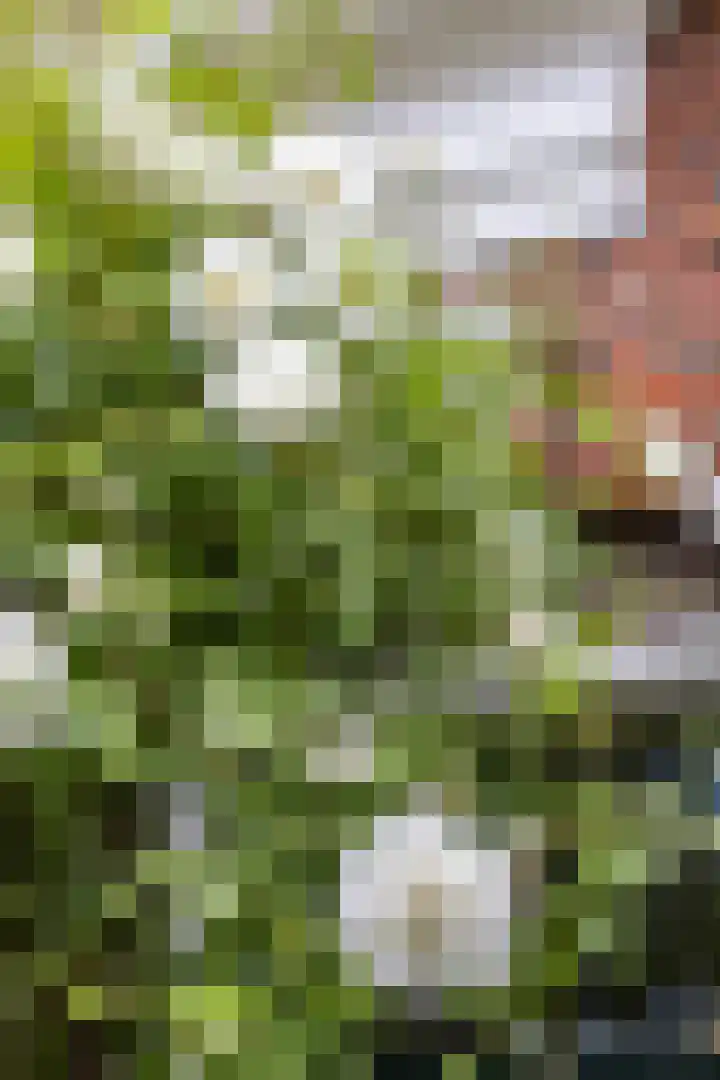 Plantsoenstraat 5 Groningen thumbnail 5