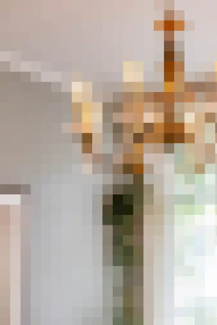 Plantsoenstraat 5 Groningen thumbnail 9