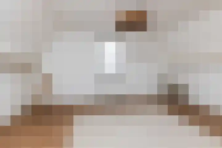 Plantsoenstraat 5 Kampen thumbnail 17