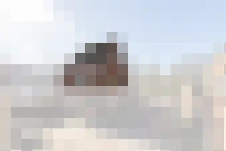 Plantsoenstraat 5 Kampen thumbnail 4
